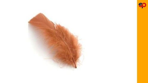 pluma-de-ave-para-manualidades-de-venta-en-super-papelera