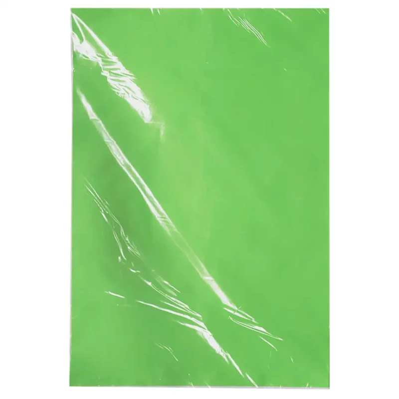 PAPEL LUSTRE GALAS C/25 VERDE NILO