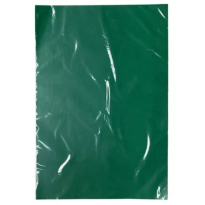 PAPEL LUSTRE GALAS C/25 VERDE BANDERA
