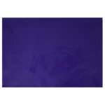 PAPEL LUSTRE GALAS C/25 AZUL REY