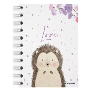 CUADERNO POCKET 100HJS RAYA ERIZOS ATADO DE 3 PZAS.