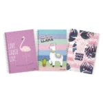 CUADERNO POCKET 100HJS SUAVE SURTIDO ATADO DE 5 PZAS.