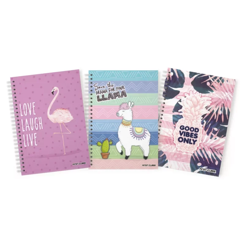 CUADERNO POCKET 100HJS SUAVE SURTIDO ATADO DE 5 PZAS.