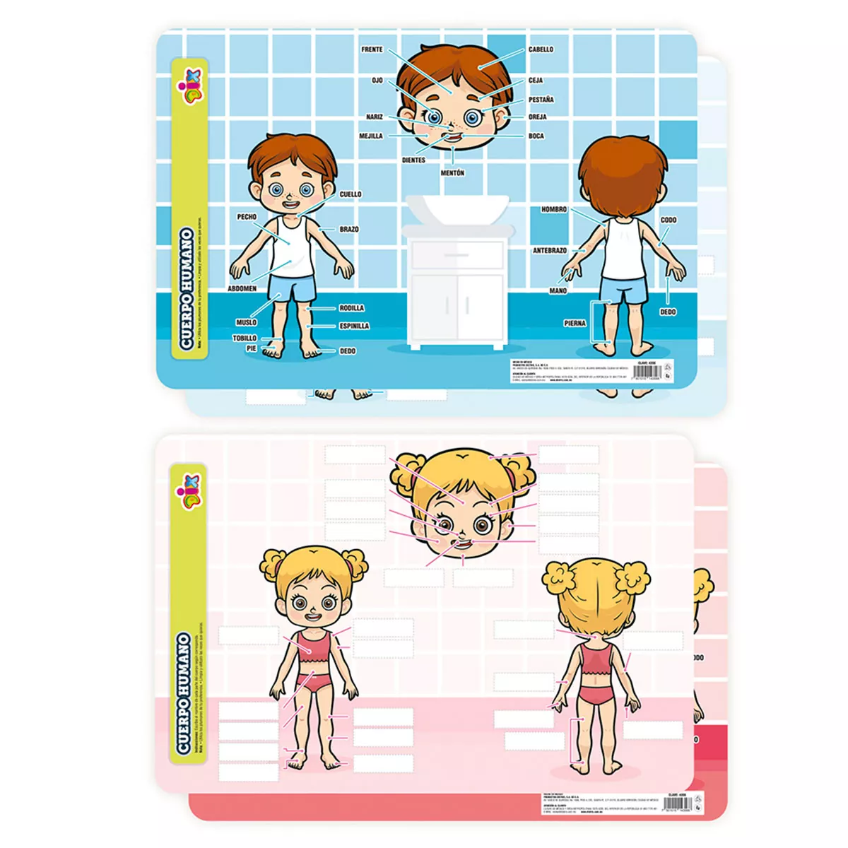 MANTEL (CHART) 45X30CM 4356 CUERPO HUMANO ATADO DE 2 PZAS.