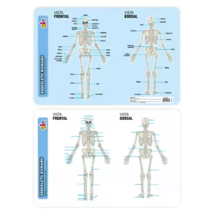MANTEL (CHART) 45X30CM 4331 ESQUELETO HUMANO ATADO DE 2 PZAS.