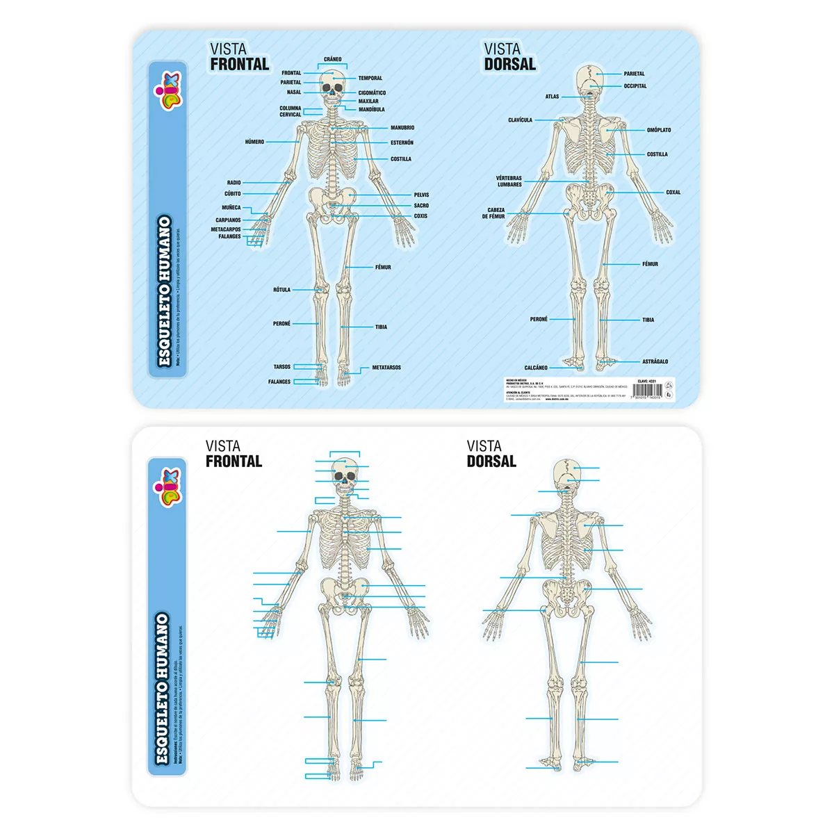 MANTEL (CHART) 45X30CM 4331 ESQUELETO HUMANO ATADO DE 2 PZAS.