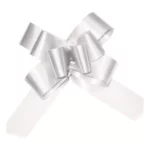 LISTON CELOMAGICO MEDIANO C/50 01 BLANCO