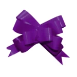 LISTON CELOMAGICO GIGANTE C/50 39 MORADO