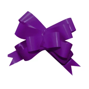 LISTON CELOMAGICO GIGANTE C/50 39 MORADO