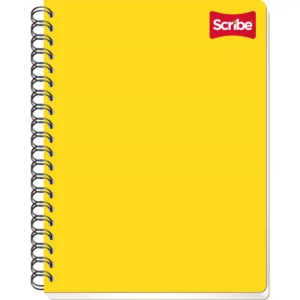 CUADERNO PROFESIONAL 100HJS CLASICO MIXTO ATADO DE 4 PZAS.