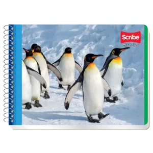 CUADERNO ITALIANO 100H ESC MEGA C/ESP C7 ATADO DE 8 PZAS.