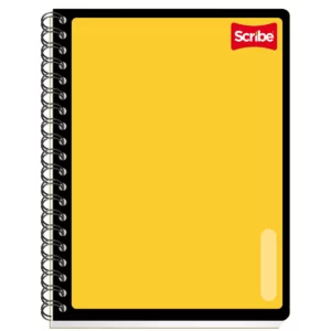 CUADERNO PROFESIONAL 100H SERIE 3 D RY ATADO DE 6 PZAS.