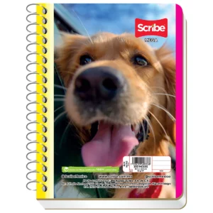 BLOCK NOTAS 1/8 ESCOLAR MEGA 100HJS PEG RAYA ATADO DE 8 PZAS.