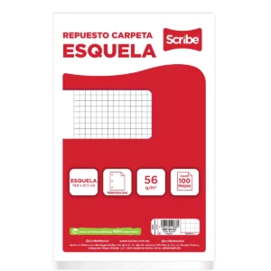 HOJA PARA CARPETA ESQUELA C/100 C5 ATADO DE 4 PZAS.