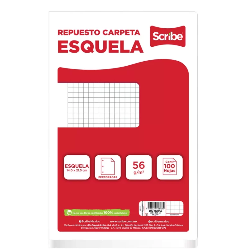 HOJA PARA CARPETA ESQUELA C/100 C5 ATADO DE 4 PZAS.
