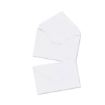 SOBRE VISITA 1 5.7X8.9CMS C/500