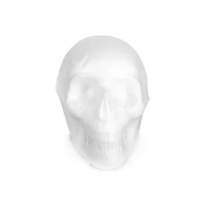 CRANEO CHICO 11.5X8X8.5 APROX 702 ATADO DE 6 PZAS.