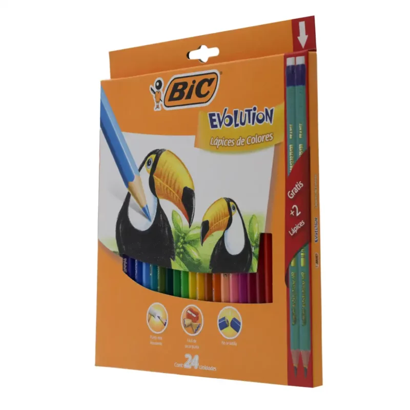 COLORES BIC EVOLUTION 3MM C/24 + 2 LAPIZ ATADO DE 2 PZAS. - Imagen 3