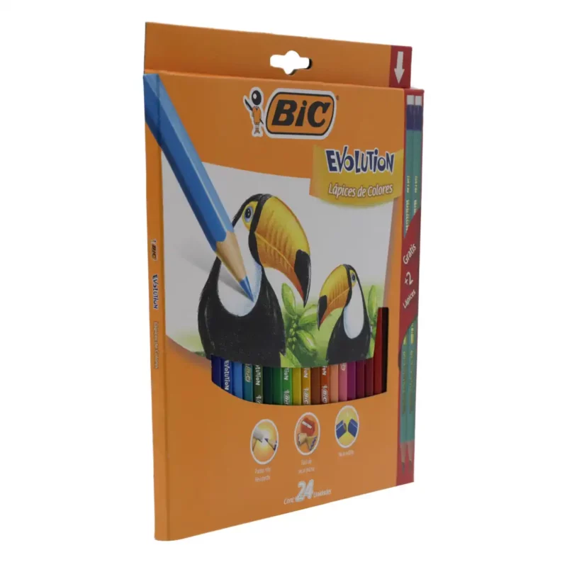 COLORES BIC EVOLUTION 3MM C/24 + 2 LAPIZ ATADO DE 2 PZAS. - Imagen 4