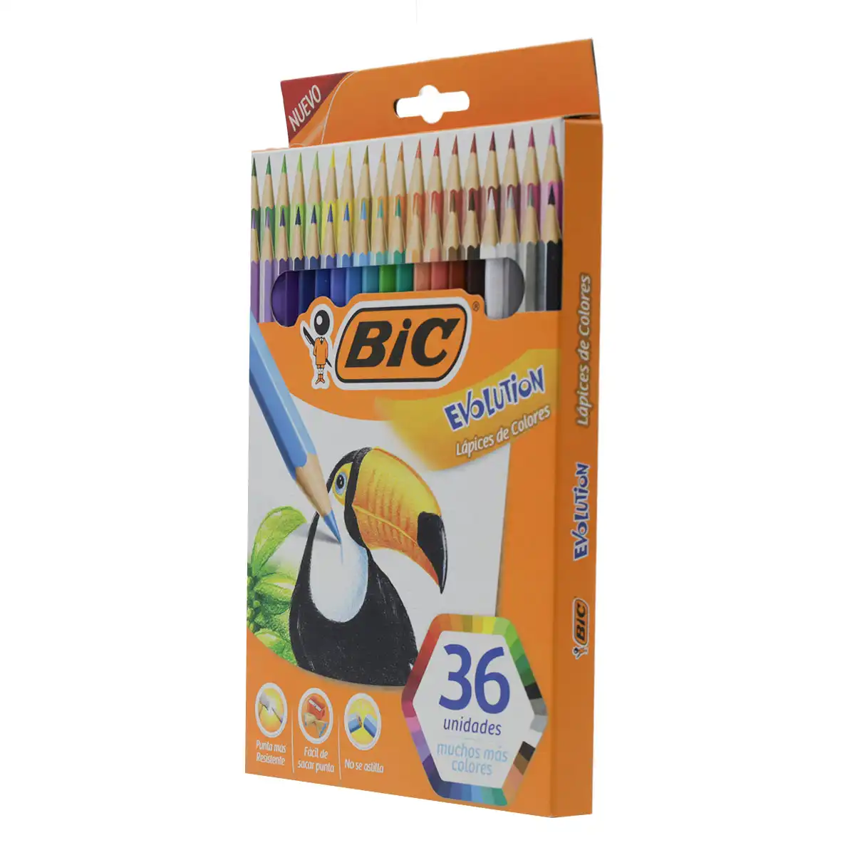 COLORES BIC EVOLUTION 3MM C/36 ATADO DE 2 PZAS. - Imagen 3