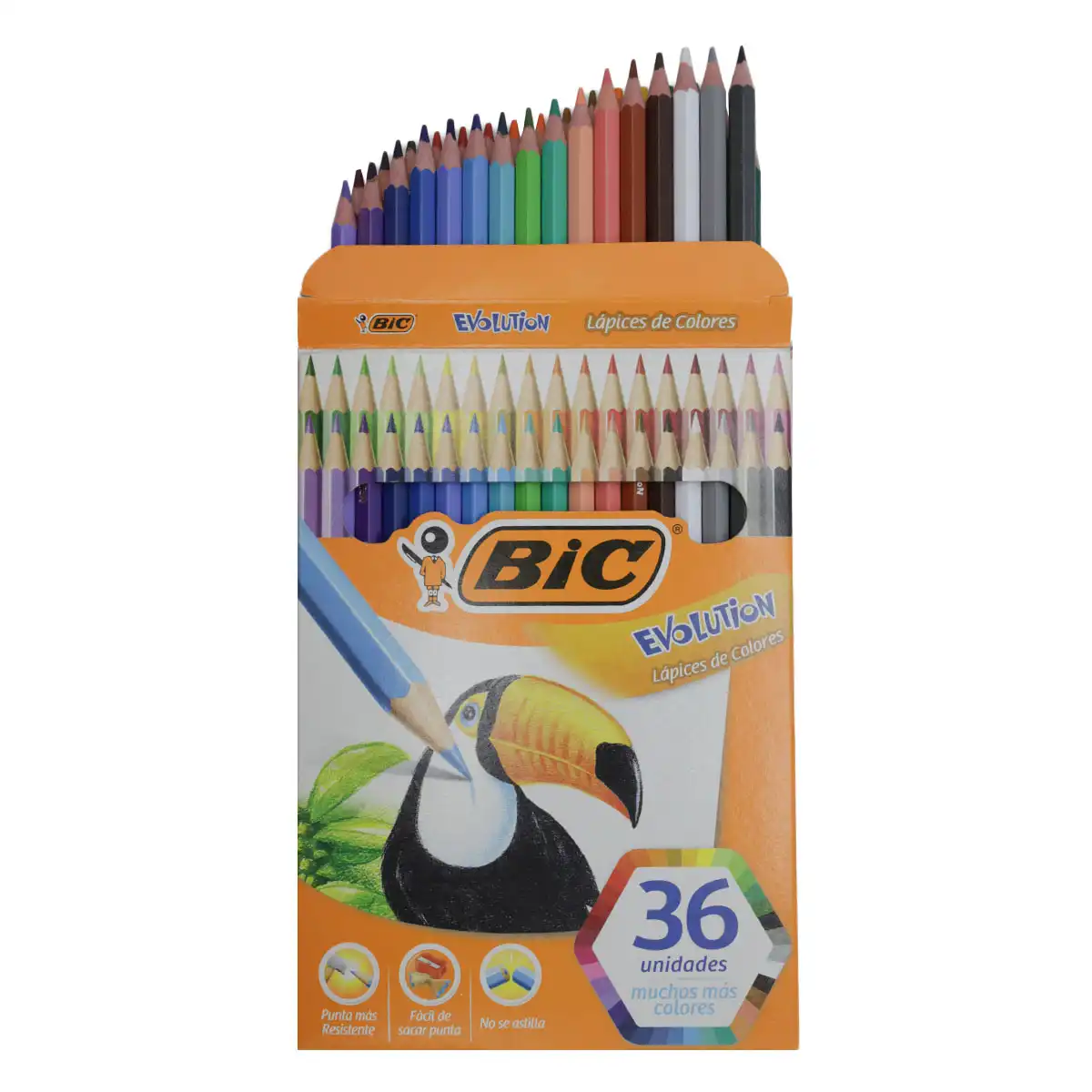 COLORES BIC EVOLUTION 3MM C/36 ATADO DE 2 PZAS. - Imagen 2