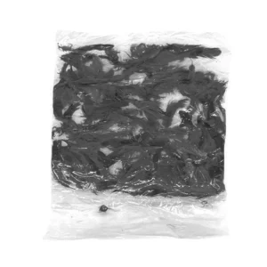 PLUMA DE AVE NEGRA ATADO DE 10 PZAS.