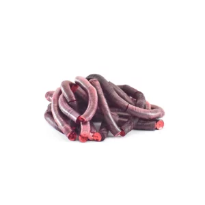 LENTEJUELA METALICA MAZO 6MM ROJA ATADO DE 2 PZAS.