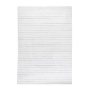 PAPEL MINISTRO DOBLE OFICIO C/250 RAYADO