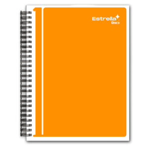 CUADERNO PROFESIONAL 100HJS UNICO RAYA ATADO DE 5 PZAS.