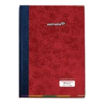 LIBRO FLORETE 192HJS DIARIO 104