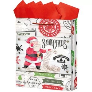 BOLSA DIPAK CARTULINA NAV 2 MEDIANA