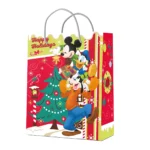 BOLSA LICENCIA CARTULINA NAV 3 GRANDE