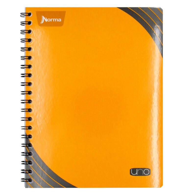 CUADERNO PROFESIONAL 100HJS UNO RAYA ATADO DE 5 PZAS.