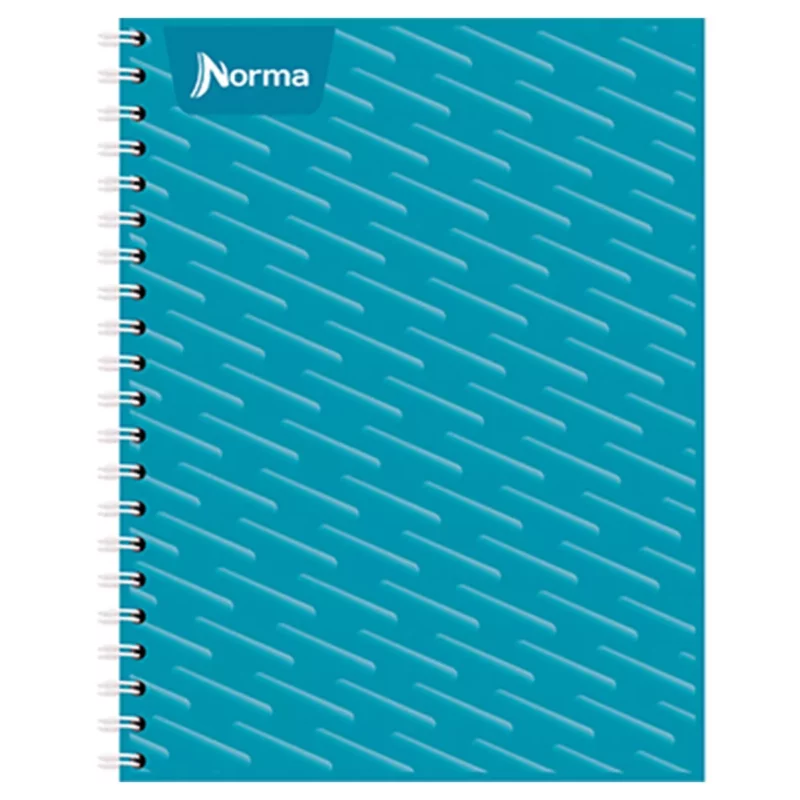CUADERNO PROFESIONAL 100HJS NORMA RAYA ATADO DE 5 PZAS.