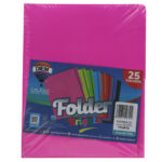 FOLDER CARTA 176GRS C/25 FF02 FIUSHA