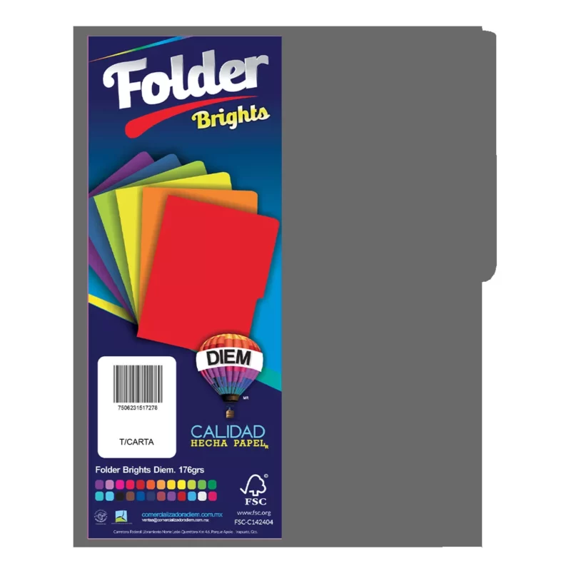 FOLDER CARTA 176GRS C/25 FP12 GRIS INTENSO