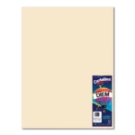 CARTULINA 50X66CM 176GRS C/10 PASTEL MARFIL