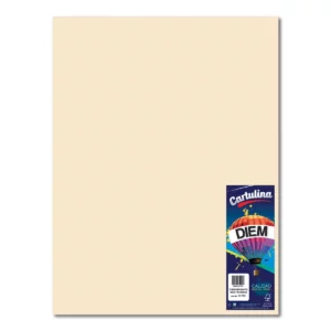 CARTULINA 50X66CM 176GRS C/10 PASTEL MARFIL
