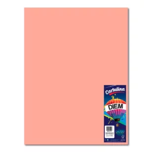 CARTULINA 50X66CM 176GRS C/10 PASTEL SALMON
