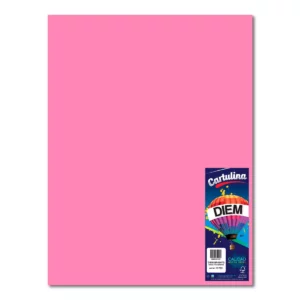 CARTULINA 50X66CM 176GRS C/10 PASTEL CEREZO