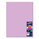 CARTULINA 50X66CM 176GRSC/10 PASTEL LILA
