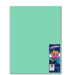 CARTULINA 50X66CM 176GRS C/10 PASTEL VERDE
