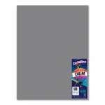 CARTULINA 50X65CM 176GRS C/10 PASTEL GRIS INTENSO