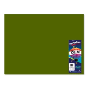 CARTULINA 50X66CM 176GRS C/10 PASTEL VERDE MANZANA
