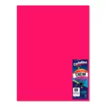 CARTULINA 50X66CM 176GRS C/10 BUGAMBILIA