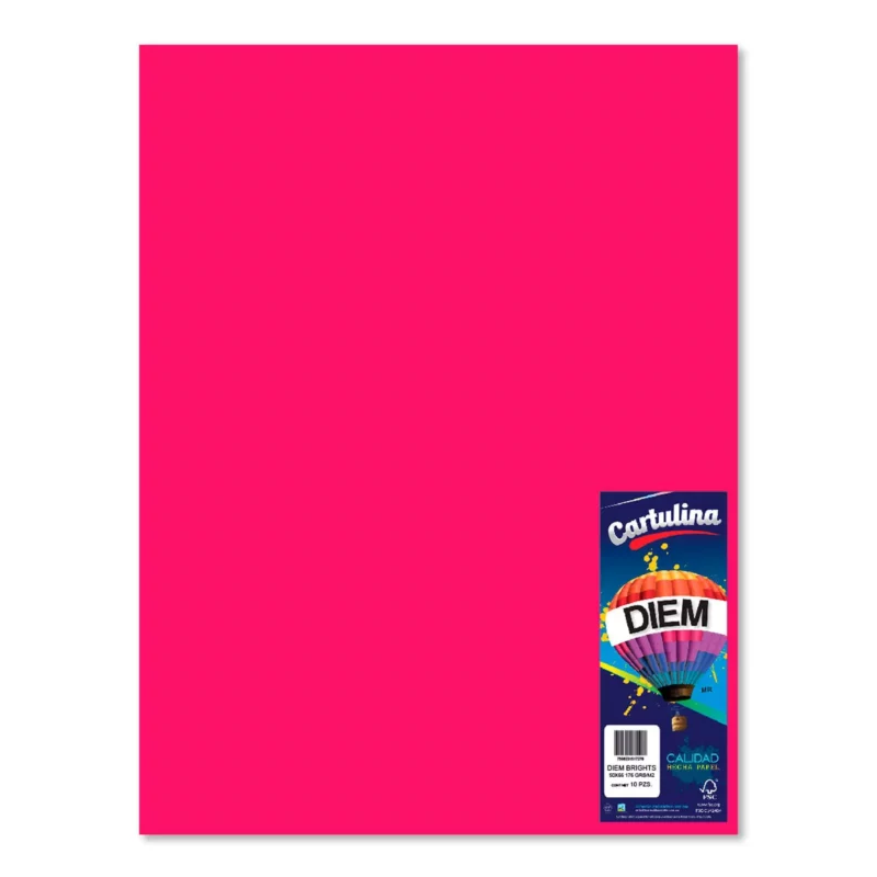 CARTULINA 50X66CM 176GRS C/10 BUGAMBILIA