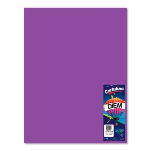 CARTULINA 50X66CM 176GRS C/10 VIOLETA OBSCURO