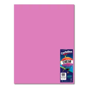 CARTULINA 50X66CM 175GRS C/10 PURPURA