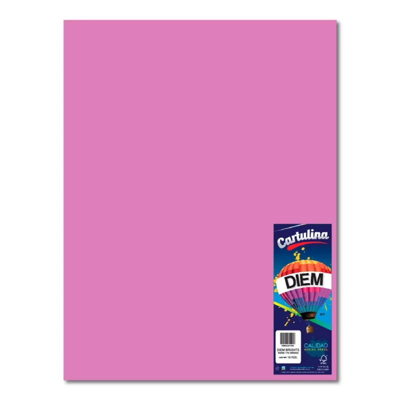 CARTULINA 50X66CM 175GRS C/10 PURPURA
