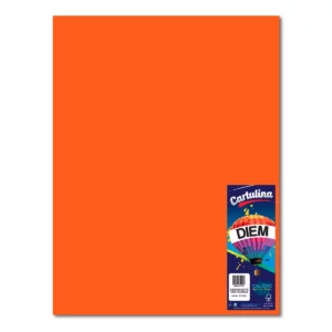 CARTULINA 50X66CM 176GRS C/10 NARANJA